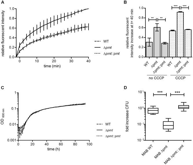 https://cdn.ncbi.nlm.nih.gov/pmc/blobs/0aee/5673659/57d383a64f11/fmicb-08-02123-g005.jpg
