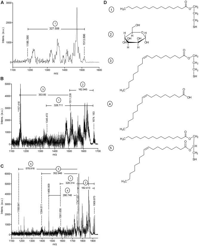 https://cdn.ncbi.nlm.nih.gov/pmc/blobs/0aee/5673659/be4611b74a2a/fmicb-08-02123-g001.jpg