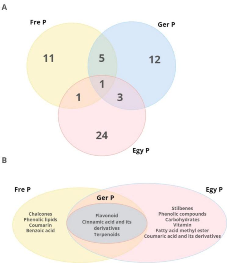 https://cdn.ncbi.nlm.nih.gov/pmc/blobs/0aef/11380329/eac4a0d592c9/13048_2024_1500_Fig5_HTML.jpg