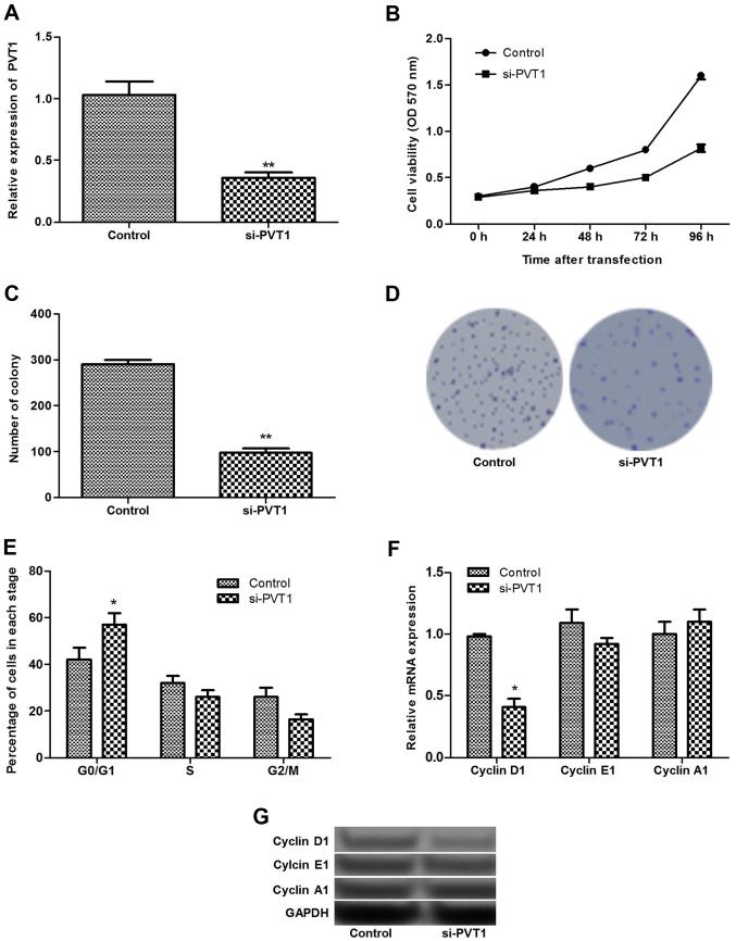 https://cdn.ncbi.nlm.nih.gov/pmc/blobs/0aef/5819911/241162125600/IJMM-41-03-1275-g01.jpg