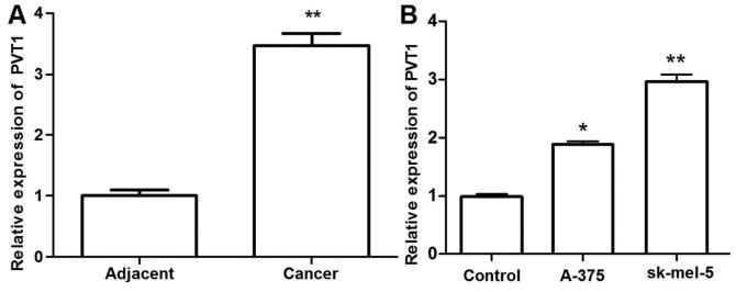 https://cdn.ncbi.nlm.nih.gov/pmc/blobs/0aef/5819911/f9aafe753c53/IJMM-41-03-1275-g00.jpg