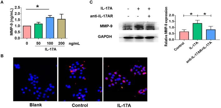 https://cdn.ncbi.nlm.nih.gov/pmc/blobs/0aef/6156140/5ef372699ea9/fimmu-09-02121-g0005.jpg