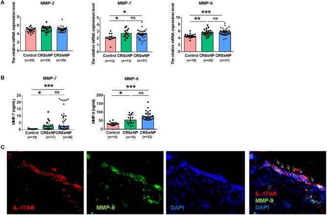 https://cdn.ncbi.nlm.nih.gov/pmc/blobs/0aef/6156140/81e412eaf179/fimmu-09-02121-g0004.jpg
