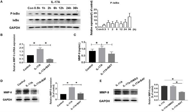 https://cdn.ncbi.nlm.nih.gov/pmc/blobs/0aef/6156140/89d07e724842/fimmu-09-02121-g0006.jpg