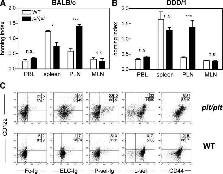 https://cdn.ncbi.nlm.nih.gov/pmc/blobs/0af0/2211897/540dbb77cfde/20031645f1.jpg