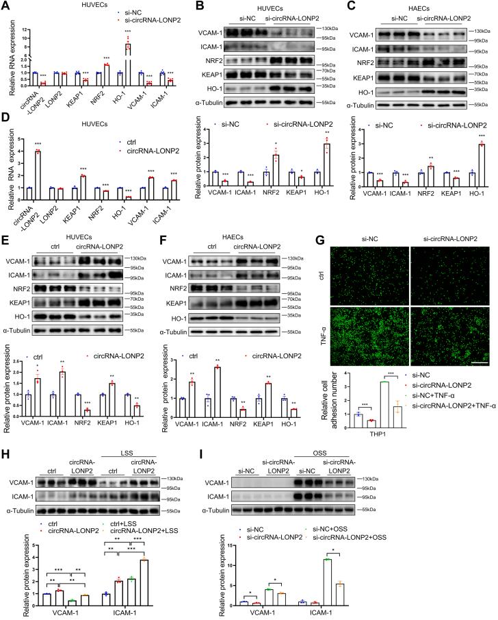 https://cdn.ncbi.nlm.nih.gov/pmc/blobs/0af1/11228119/e18cacea317e/gr2.jpg