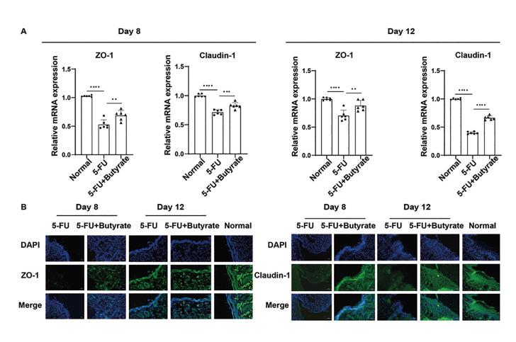https://cdn.ncbi.nlm.nih.gov/pmc/blobs/0af1/12395590/1dcc3fd189dd/medoral-30-05-e657-g003.jpg