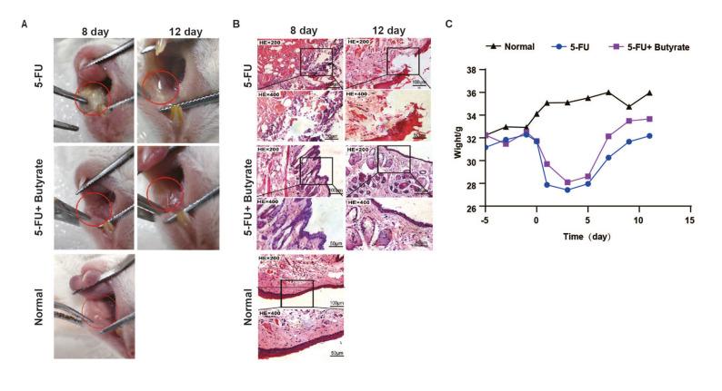 https://cdn.ncbi.nlm.nih.gov/pmc/blobs/0af1/12395590/5bf53f943495/medoral-30-05-e657-g002.jpg