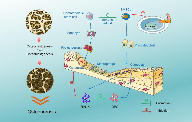 https://cdn.ncbi.nlm.nih.gov/pmc/blobs/0af2/10702032/0ca63b04aced/12967_2023_4594_Fig2_HTML.jpg