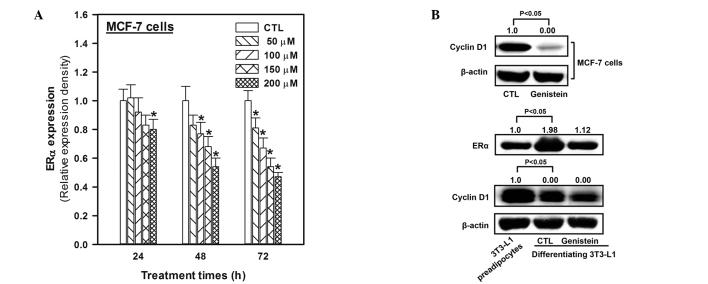 https://cdn.ncbi.nlm.nih.gov/pmc/blobs/0af3/4079435/cf2ebd02a70e/ETM-08-02-0454-g02.jpg