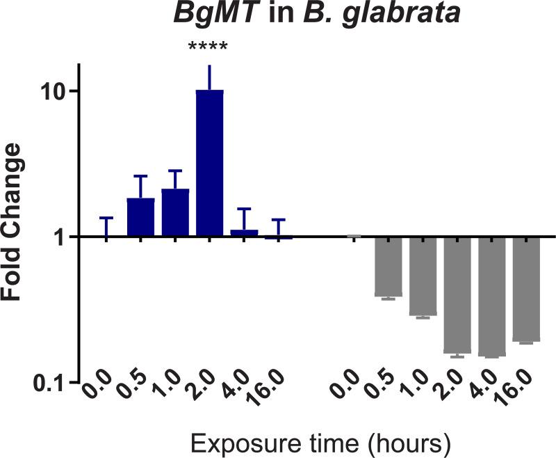 https://cdn.ncbi.nlm.nih.gov/pmc/blobs/0af3/8462715/e14659094c80/pntd.0009094.g005.jpg
