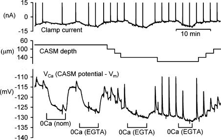 https://cdn.ncbi.nlm.nih.gov/pmc/blobs/0af4/1885971/a05134e69b4e/gr4.jpg