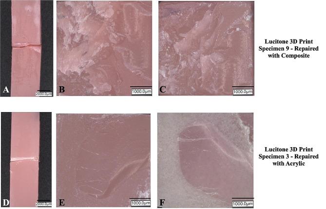 https://cdn.ncbi.nlm.nih.gov/pmc/blobs/0af7/11317006/8cdab0769933/12903_2024_4695_Fig21_HTML.jpg