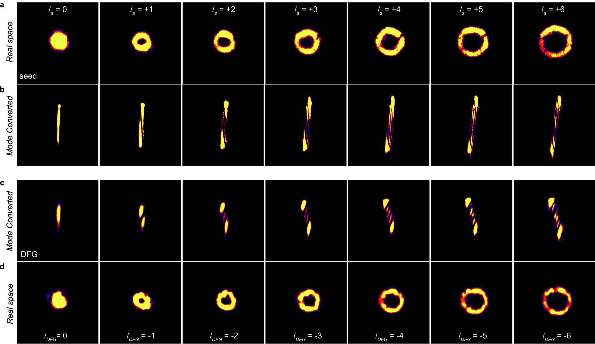 https://cdn.ncbi.nlm.nih.gov/pmc/blobs/0af8/12409906/d03f5fc07075/nn5c06908_0002.jpg