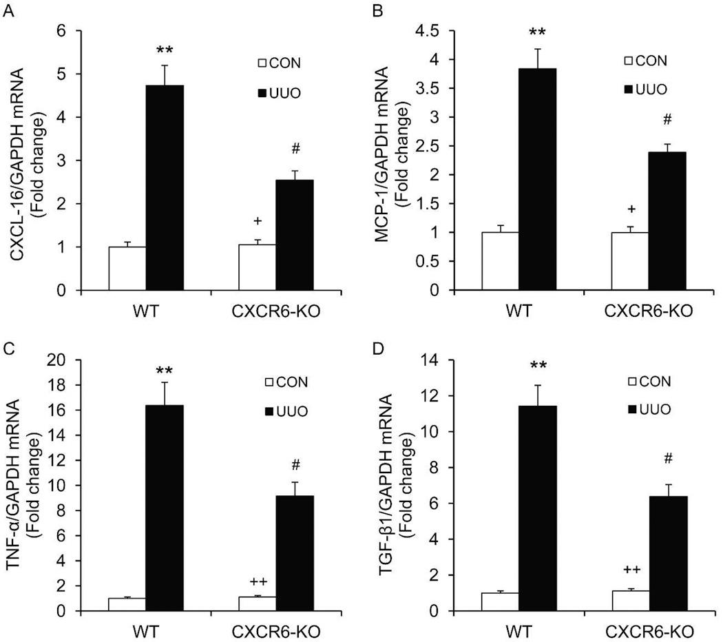 https://cdn.ncbi.nlm.nih.gov/pmc/blobs/0af8/4117803/530b48d5f2c7/nihms568250f3.jpg