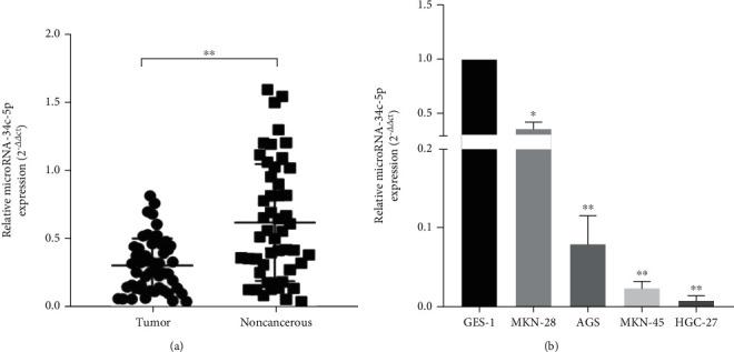 https://cdn.ncbi.nlm.nih.gov/pmc/blobs/0af8/9532111/345427426a47/BMRI2022-7375661.001.jpg