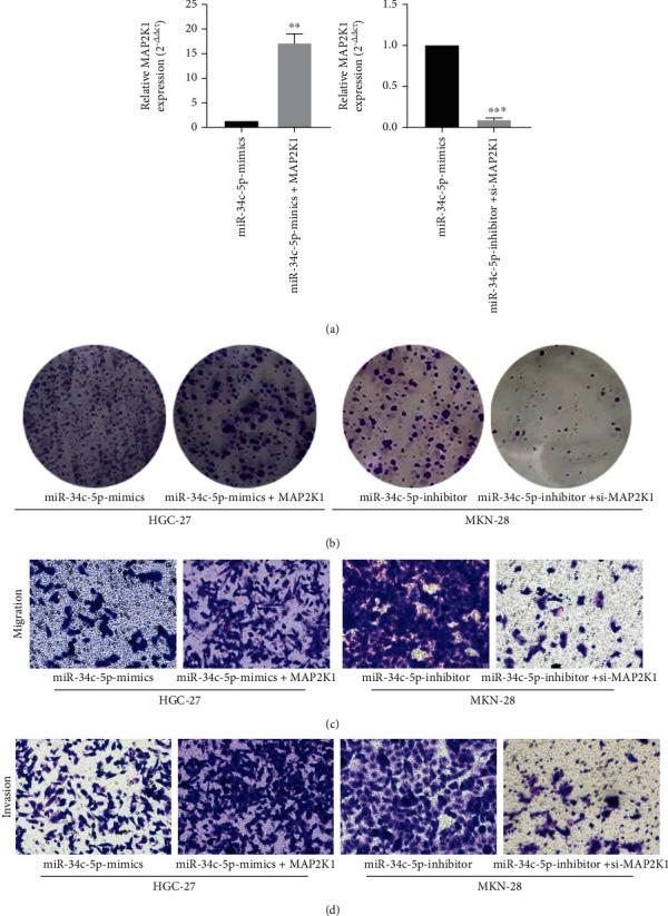 https://cdn.ncbi.nlm.nih.gov/pmc/blobs/0af8/9532111/34b851395495/BMRI2022-7375661.004.jpg