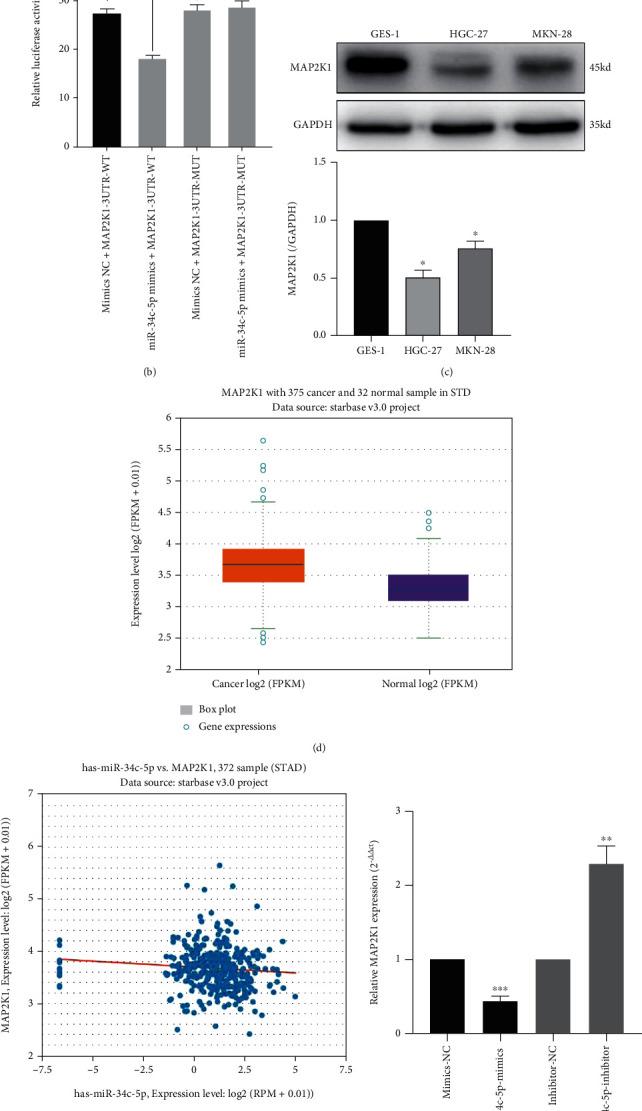 https://cdn.ncbi.nlm.nih.gov/pmc/blobs/0af8/9532111/b032ad9411c4/BMRI2022-7375661.003.jpg