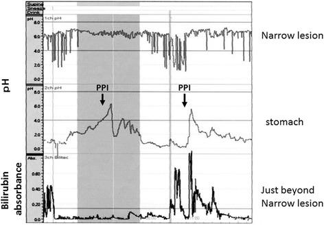 https://cdn.ncbi.nlm.nih.gov/pmc/blobs/0af9/4836191/9c0c13213368/12893_2016_137_Fig3_HTML.jpg