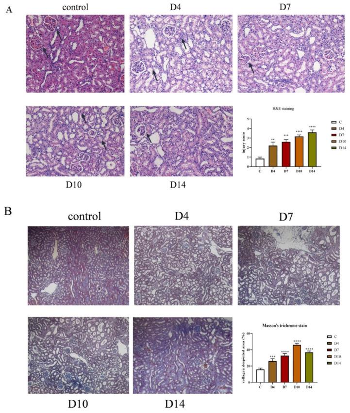 https://cdn.ncbi.nlm.nih.gov/pmc/blobs/0afa/8838889/6ef29b04ef36/molecules-27-00704-g002.jpg