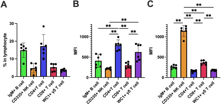 https://cdn.ncbi.nlm.nih.gov/pmc/blobs/0afb/12246588/3856ba0dcd85/jvms-87-7-781-g001.jpg
