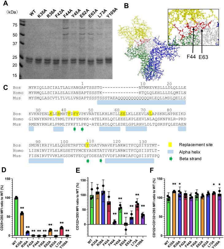 https://cdn.ncbi.nlm.nih.gov/pmc/blobs/0afb/12246588/603a9043543e/jvms-87-7-781-g002.jpg