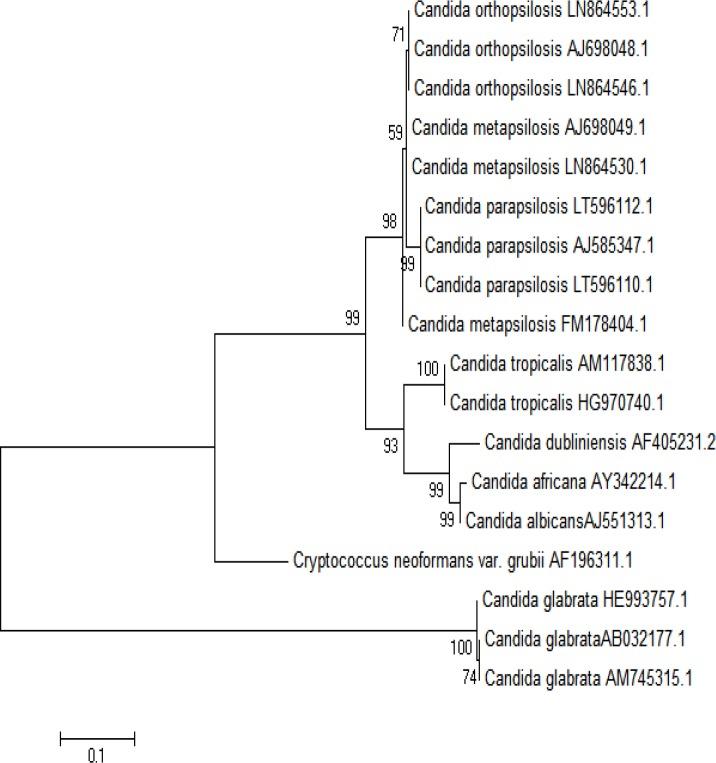 https://cdn.ncbi.nlm.nih.gov/pmc/blobs/0afb/5611690/428f7d737c64/cmm-2-001-g003.jpg