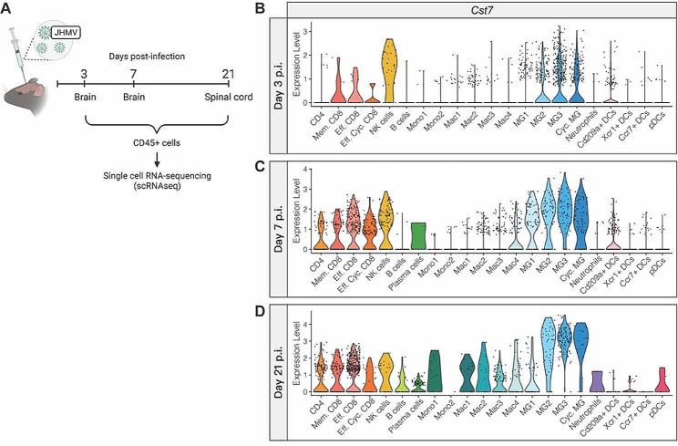 https://cdn.ncbi.nlm.nih.gov/pmc/blobs/0aff/11179388/98583e335188/12974_2024_3153_Fig1_HTML.jpg