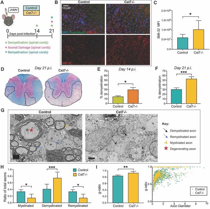 https://cdn.ncbi.nlm.nih.gov/pmc/blobs/0aff/11179388/d4e22ed376fd/12974_2024_3153_Fig4_HTML.jpg