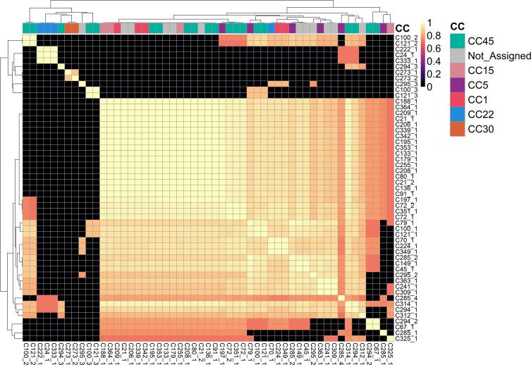 https://cdn.ncbi.nlm.nih.gov/pmc/blobs/0b00/10711304/8997c65929ad/mgen-9-1128-g003.jpg