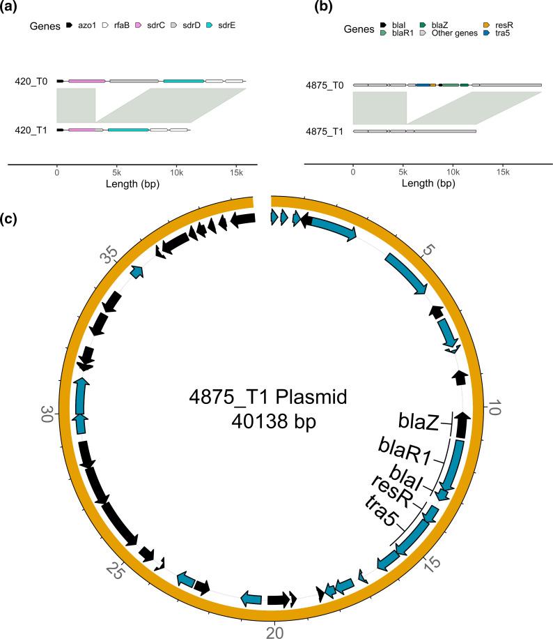 https://cdn.ncbi.nlm.nih.gov/pmc/blobs/0b00/10711304/c4b7e12089b9/mgen-9-1128-g002.jpg