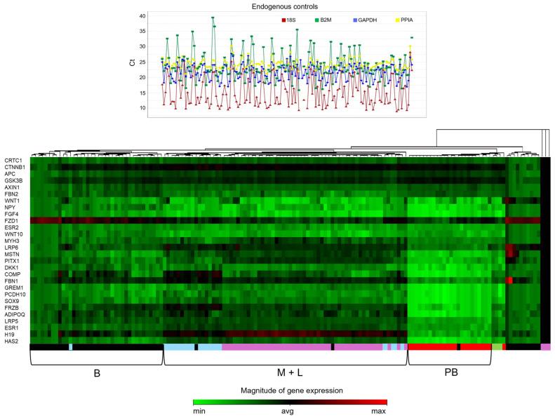 https://cdn.ncbi.nlm.nih.gov/pmc/blobs/0b01/12429667/208eff15299a/ijms-26-08453-g001.jpg