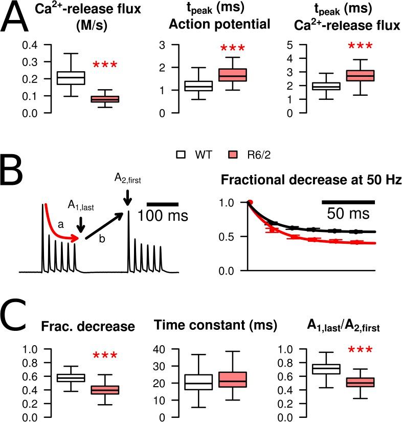 https://cdn.ncbi.nlm.nih.gov/pmc/blobs/0b06/4210430/e296249e21a4/JGP_201411255_Fig5.jpg