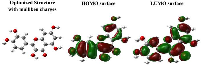 https://cdn.ncbi.nlm.nih.gov/pmc/blobs/0b06/9589875/942e29e7d2dc/11696_2022_2549_Fig12_HTML.jpg