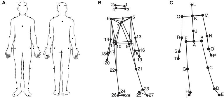 https://cdn.ncbi.nlm.nih.gov/pmc/blobs/0b07/4224089/8f28ab5b3e5d/fnhum-08-00903-g0001.jpg