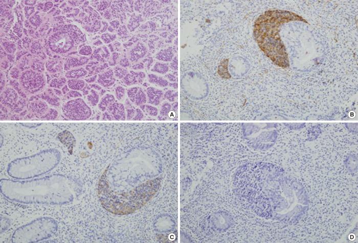 https://cdn.ncbi.nlm.nih.gov/pmc/blobs/0b07/4595365/bc4fde52e4e0/enm-30-389-g003.jpg
