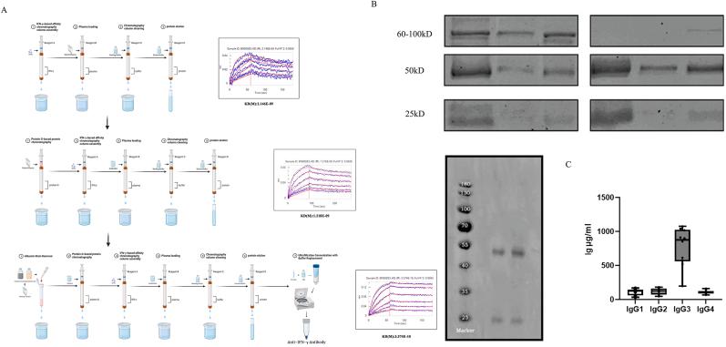 https://cdn.ncbi.nlm.nih.gov/pmc/blobs/0b08/12143649/ffd0d195593b/gr5.jpg