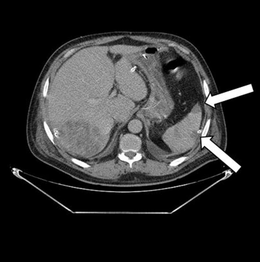 https://cdn.ncbi.nlm.nih.gov/pmc/blobs/0b09/10064683/1100faa3e64c/13256_2022_3676_Fig3_HTML.jpg
