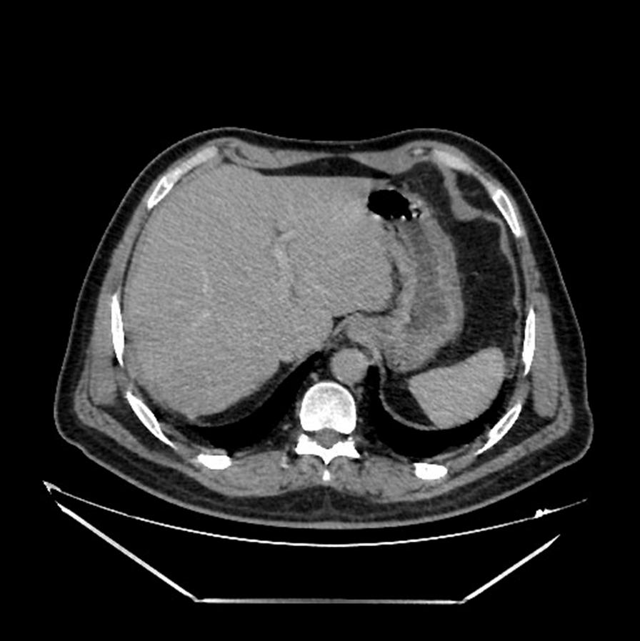https://cdn.ncbi.nlm.nih.gov/pmc/blobs/0b09/10064683/bd635dfc4bf3/13256_2022_3676_Fig5_HTML.jpg