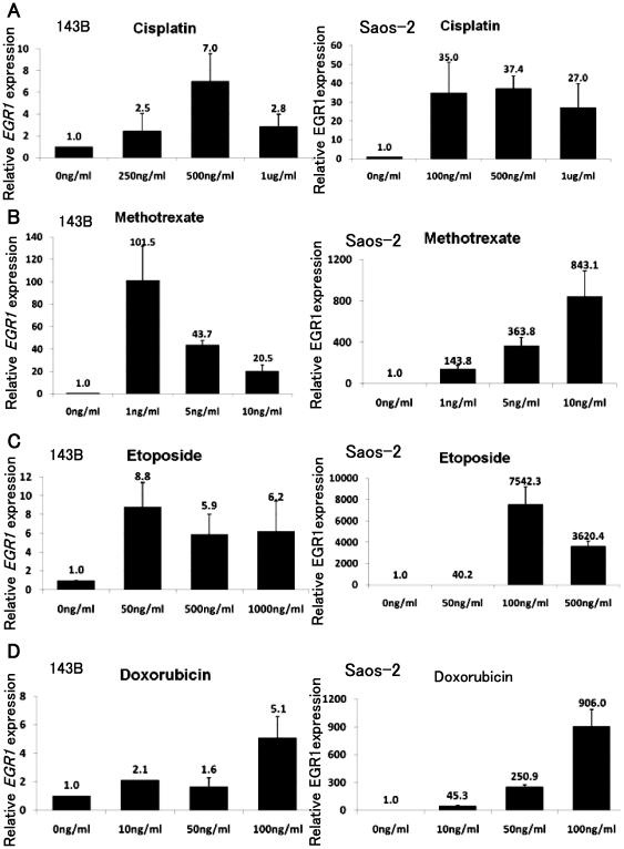 https://cdn.ncbi.nlm.nih.gov/pmc/blobs/0b0c/3024416/851a9ad4aef5/pone.0016234.g003.jpg