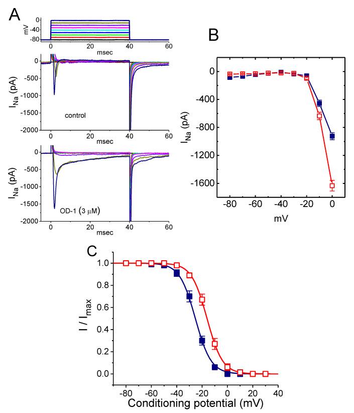 https://cdn.ncbi.nlm.nih.gov/pmc/blobs/0b0c/7663472/482cc0472d9e/ijms-21-08254-g002.jpg