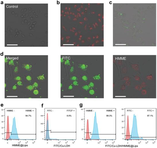 https://cdn.ncbi.nlm.nih.gov/pmc/blobs/0b0d/8097343/c867cb8f5512/ADVS-8-2002816-g005.jpg