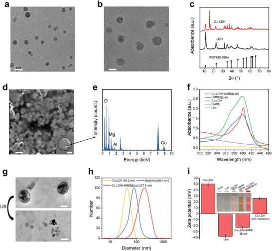 https://cdn.ncbi.nlm.nih.gov/pmc/blobs/0b0d/8097343/cdea60e269d3/ADVS-8-2002816-g003.jpg
