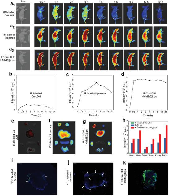 https://cdn.ncbi.nlm.nih.gov/pmc/blobs/0b0d/8097343/e5dc0fdea73d/ADVS-8-2002816-g004.jpg