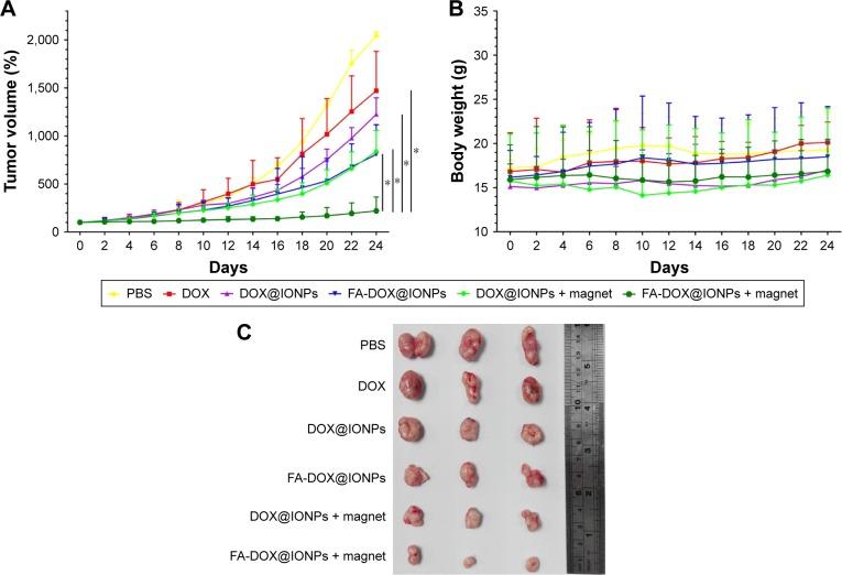 https://cdn.ncbi.nlm.nih.gov/pmc/blobs/0b0e/5834183/9ab8cb40afeb/ijn-13-1119Fig6.jpg