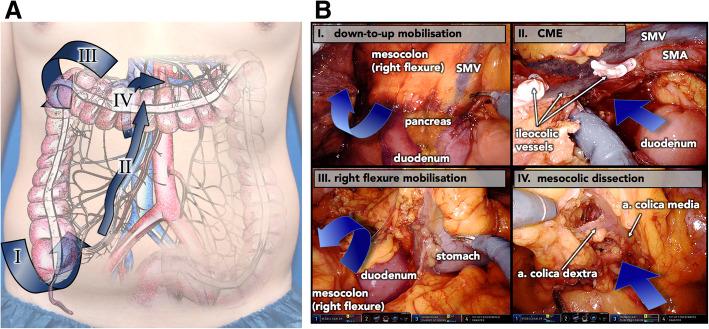 https://cdn.ncbi.nlm.nih.gov/pmc/blobs/0b10/6604440/b5700430618f/12893_2019_544_Fig3_HTML.jpg
