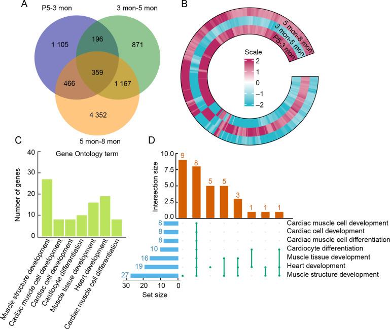 https://cdn.ncbi.nlm.nih.gov/pmc/blobs/0b11/12361896/cd95eab08df4/zr-46-3-634-6.jpg