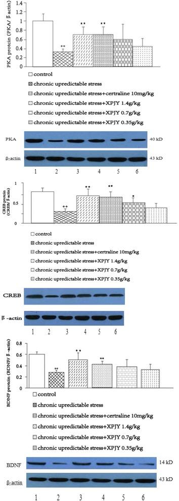 https://cdn.ncbi.nlm.nih.gov/pmc/blobs/0b11/5260079/83e3f71725bb/12906_2016_1543_Fig3_HTML.jpg