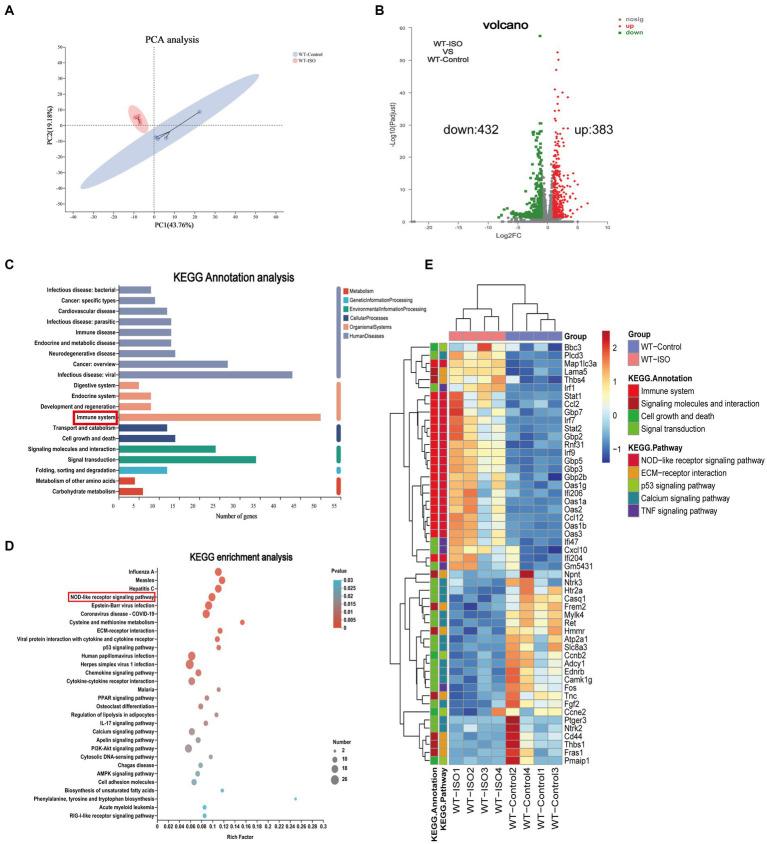 https://cdn.ncbi.nlm.nih.gov/pmc/blobs/0b12/10501138/76f94d5f2c60/fmicb-14-1255971-g001.jpg