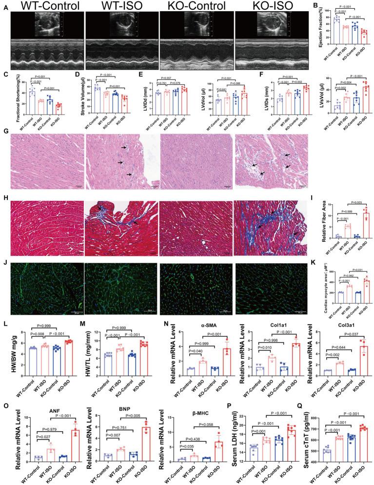 https://cdn.ncbi.nlm.nih.gov/pmc/blobs/0b12/10501138/aff49bd20138/fmicb-14-1255971-g003.jpg